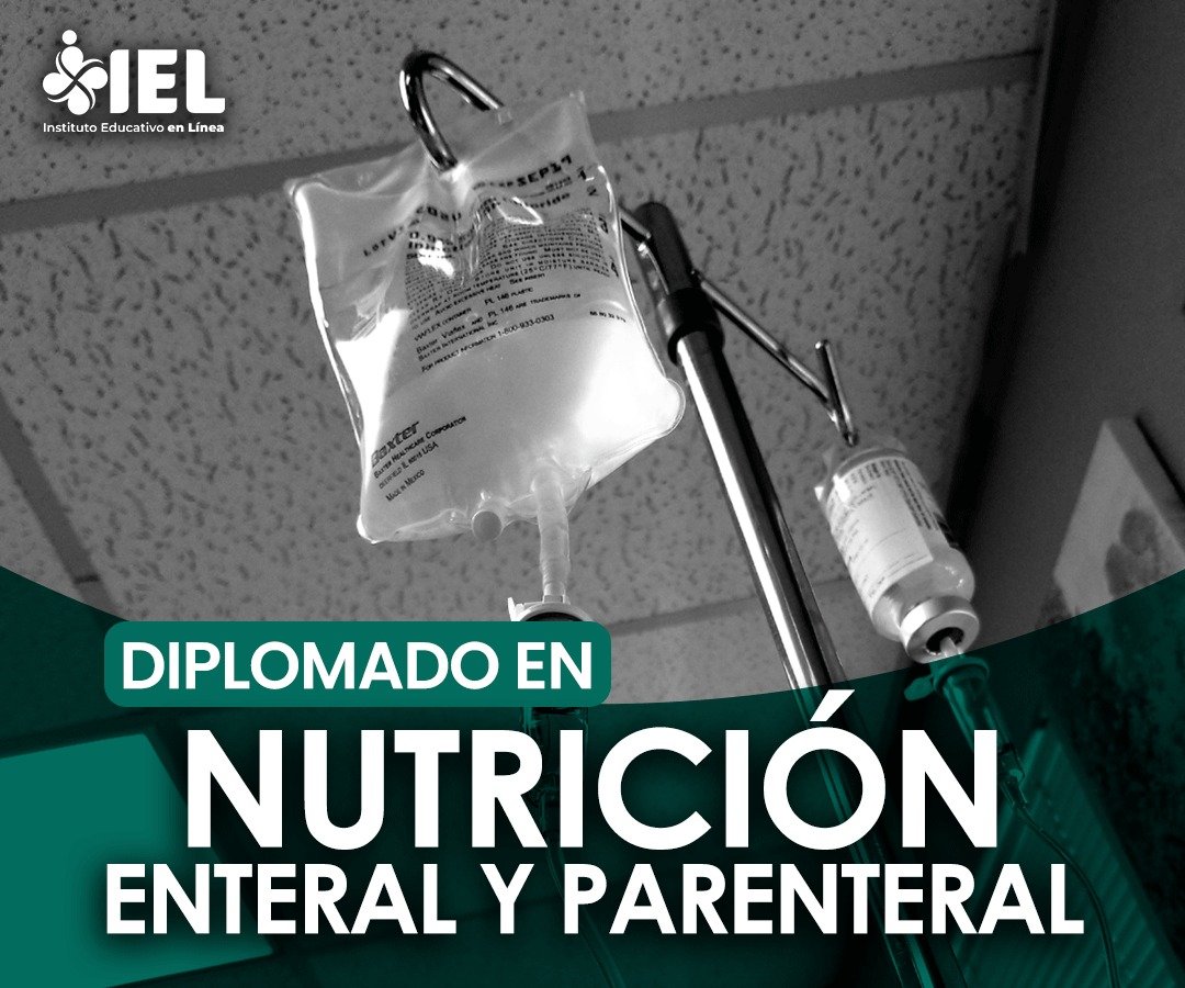 Encabezado 1